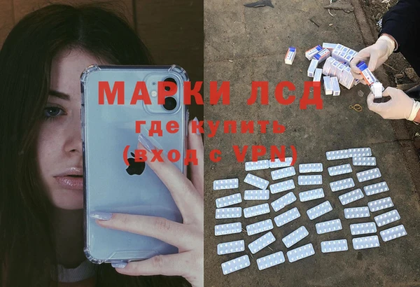 амф Богданович