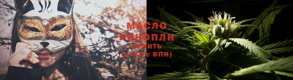 крисы Богородск