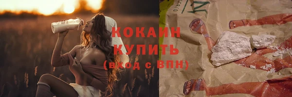 амф Богданович