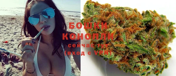 амф Богданович