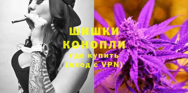 крисы Богородск