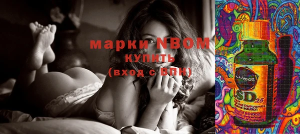 амф Богданович