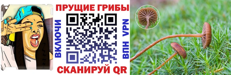 Галлюциногенные грибы GOLDEN TEACHER  Энгельс 